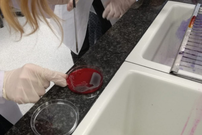 IMG-20191114-WA0003
